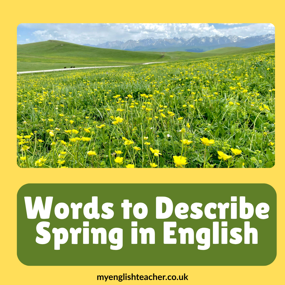 Spring Descriptive Words Words to Describe Spring in English - My Lingua Academy